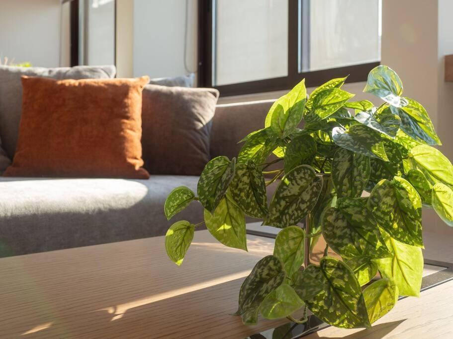 Athinais Luxury Studio 2 Atina Dış mekan fotoğraf